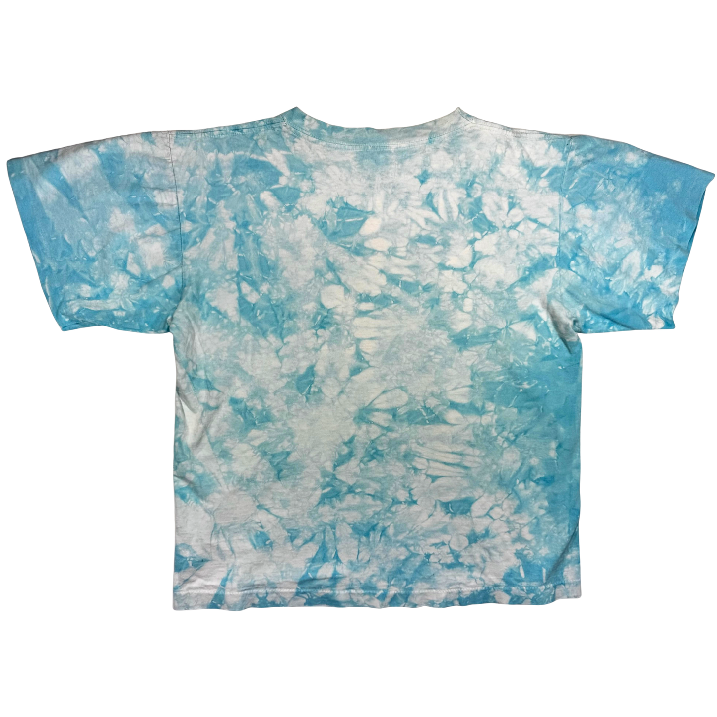 Vintage 90's Dolphin Earth T Shirt