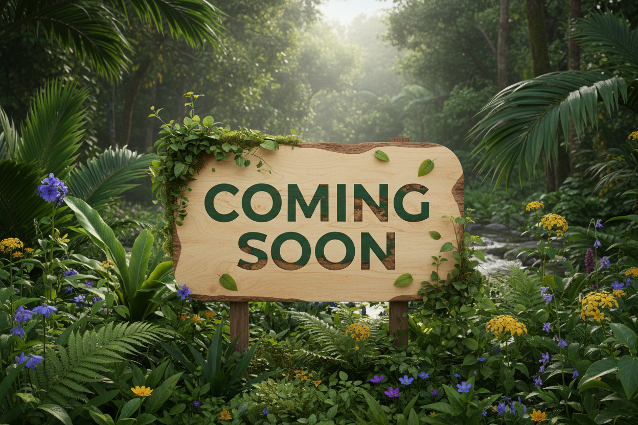 take off the "Upcycled apparel and "nature - inspired design"